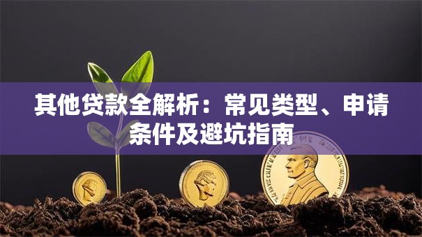 其他贷款全解析：常见类型、申请条件及避坑指南