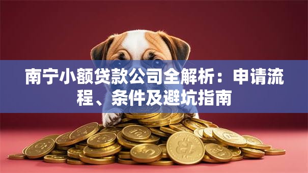 南宁小额贷款公司全解析：申请流程、条件及避坑指南