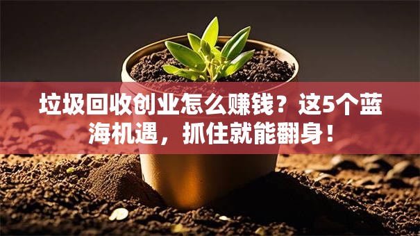 垃圾回收创业怎么赚钱？这5个蓝海机遇，抓住就能翻身！