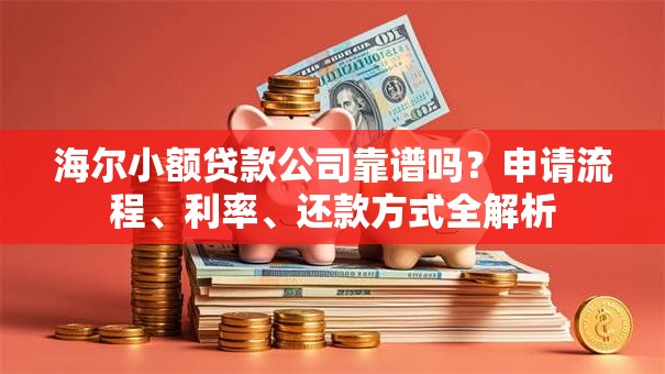 海尔小额贷款公司靠谱吗？申请流程、利率、还款方式全解析
