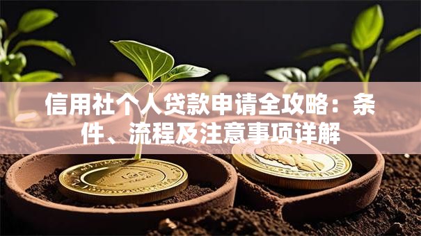 信用社个人贷款申请全攻略：条件、流程及注意事项详解