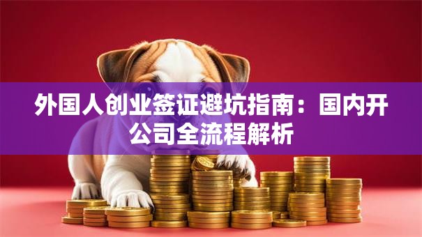 外国人创业签证避坑指南：国内开公司全流程解析