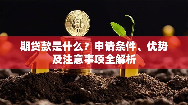 期贷款是什么？申请条件、优势及注意事项全解析
