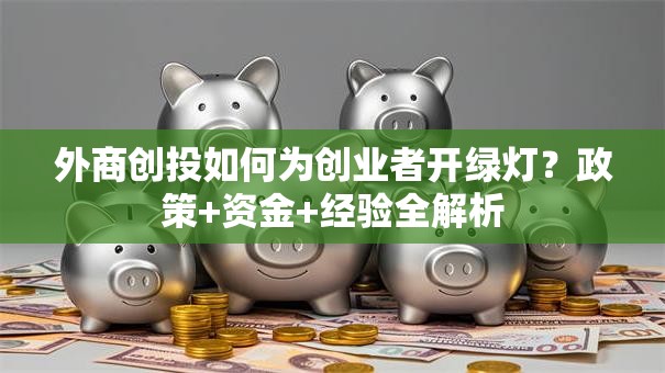 外商创投如何为创业者开绿灯？政策+资金+经验全解析