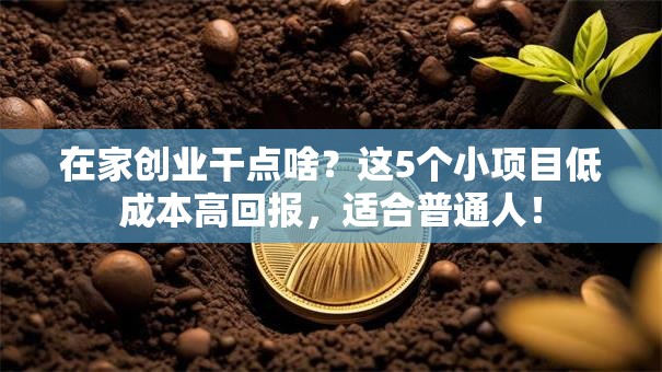 在家创业干点啥？这5个小项目低成本高回报，适合普通人！