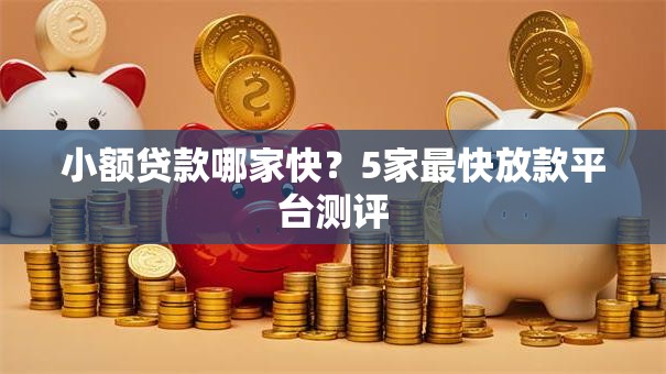 小额贷款哪家快？5家最快放款平台测评