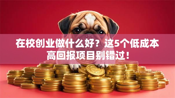 在校创业做什么好？这5个低成本高回报项目别错过！