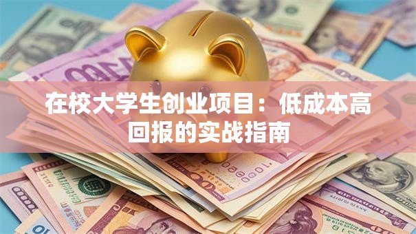 在校大学生创业项目：低成本高回报的实战指南
