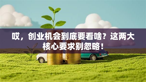 哎，创业机会到底要看啥？这两大核心要求别忽略！