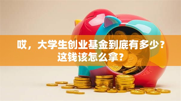 哎，大学生创业基金到底有多少？这钱该怎么拿？