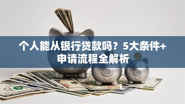 个人能从银行贷款吗？5大条件+申请流程全解析