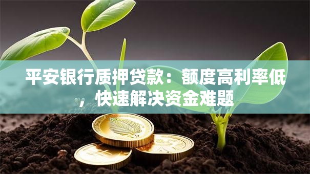 平安银行质押贷款：额度高利率低，快速解决资金难题