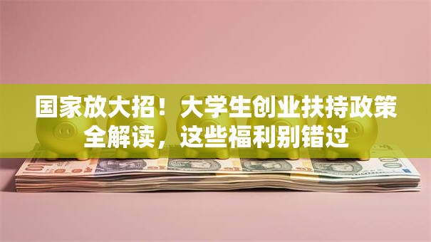 国家放大招！大学生创业扶持政策全解读，这些福利别错过