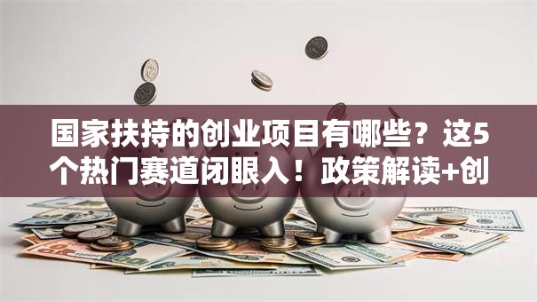 国家扶持的创业项目有哪些？这5个热门赛道闭眼入！政策解读+创业干货