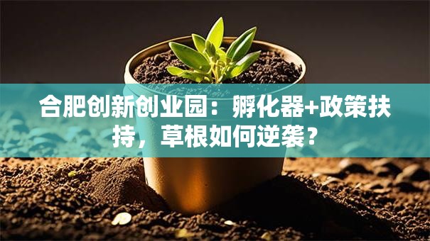 合肥创新创业园：孵化器+政策扶持，草根如何逆袭？