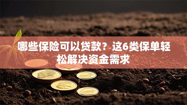 哪些保险可以贷款？这6类保单轻松解决资金需求