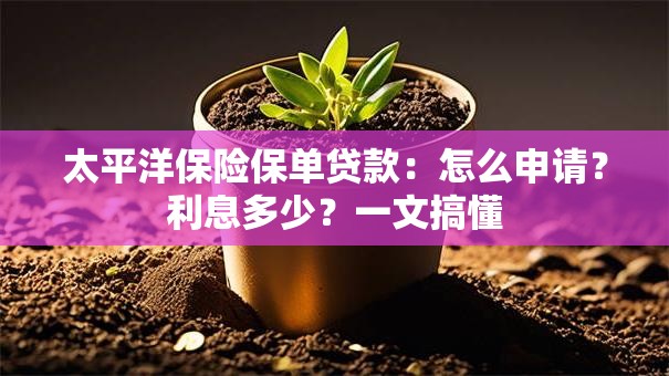 太平洋保险保单贷款：怎么申请？利息多少？一文搞懂