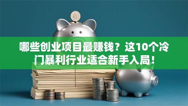 哪些创业项目最赚钱？这10个冷门暴利行业适合新手入局！