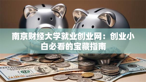 南京财经大学就业创业网：创业小白必看的宝藏指南