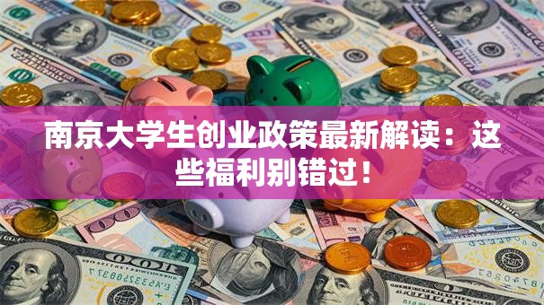 南京大学生创业政策最新解读：这些福利别错过！