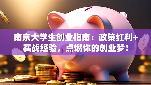 南京大学生创业指南：政策红利+实战经验，点燃你的创业梦！