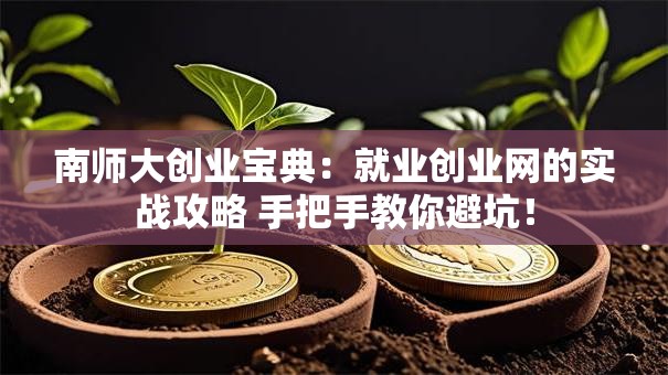南师大创业宝典：就业创业网的实战攻略 手把手教你避坑！
