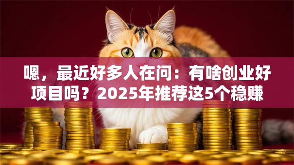 嗯，最近好多人在问：有啥创业好项目吗？2025年推荐这5个稳赚不赔的！