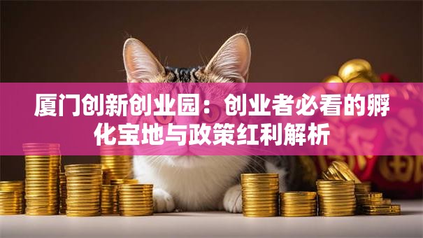 厦门创新创业园：创业者必看的孵化宝地与政策红利解析
