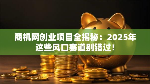 商机网创业项目全揭秘：2025年这些风口赛道别错过！