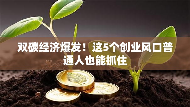 双碳经济爆发！这5个创业风口普通人也能抓住