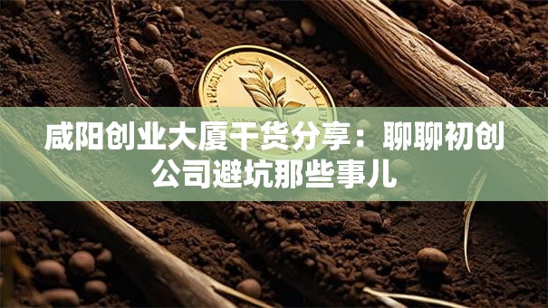 咸阳创业大厦干货分享：聊聊初创公司避坑那些事儿