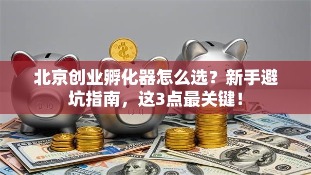 北京创业孵化器怎么选？新手避坑指南，这3点最关键！