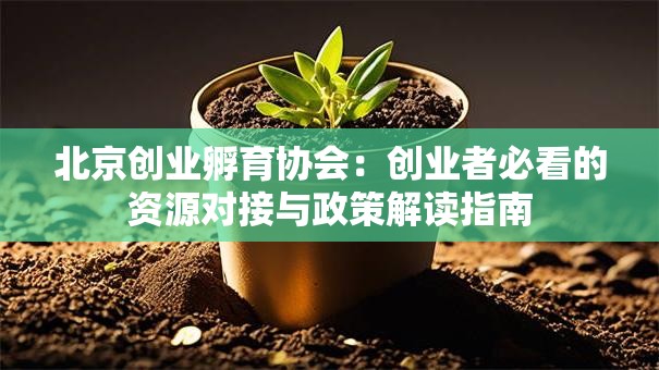 北京创业孵育协会：创业者必看的资源对接与政策解读指南