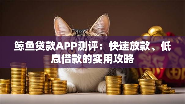 鲸鱼贷款APP测评：快速放款、低息借款的实用攻略