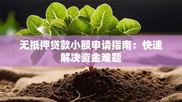 无抵押贷款小额申请指南：快速解决资金难题