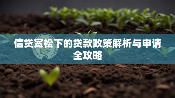 信贷宽松下的贷款政策解析与申请全攻略