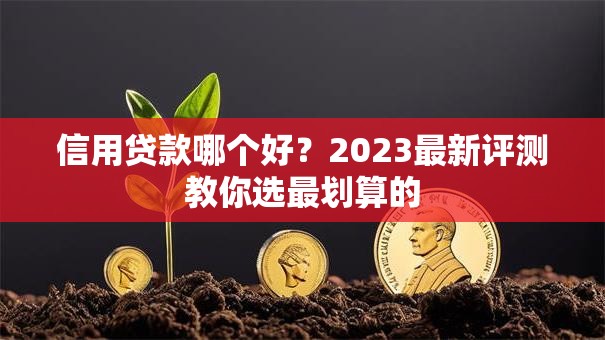 信用贷款哪个好？2023最新评测教你选最划算的