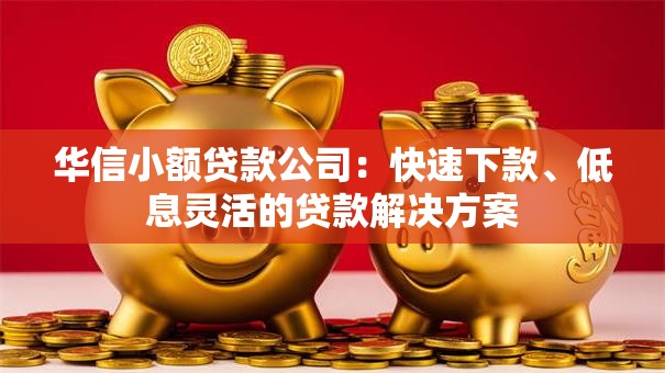 华信小额贷款公司：快速下款、低息灵活的贷款解决方案