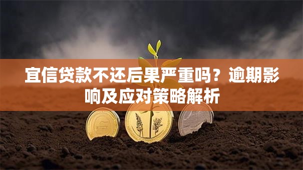 宜信贷款不还后果严重吗？逾期影响及应对策略解析