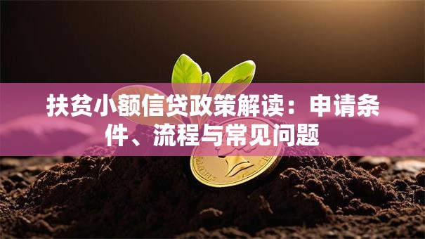 扶贫小额信贷政策解读：申请条件、流程与常见问题