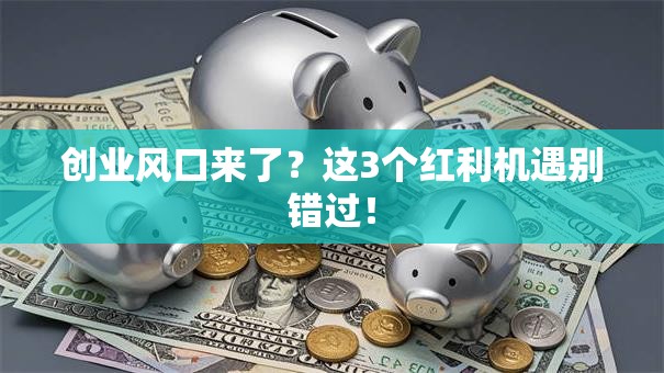 创业风口来了？这3个红利机遇别错过！