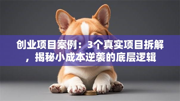 创业项目案例：3个真实项目拆解，揭秘小成本逆袭的底层逻辑