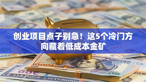 创业项目点子别急！这5个冷门方向藏着低成本金矿