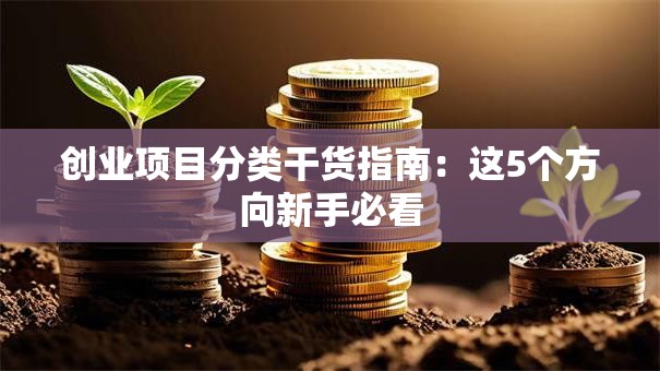 创业项目分类干货指南：这5个方向新手必看