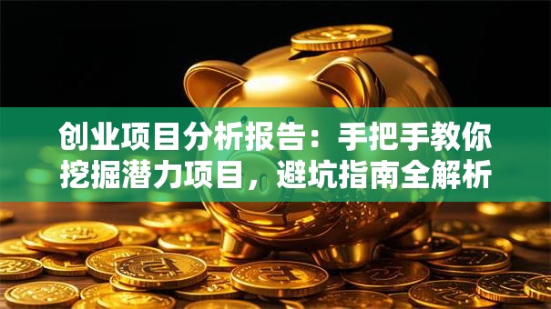 创业项目分析报告：手把手教你挖掘潜力项目，避坑指南全解析！