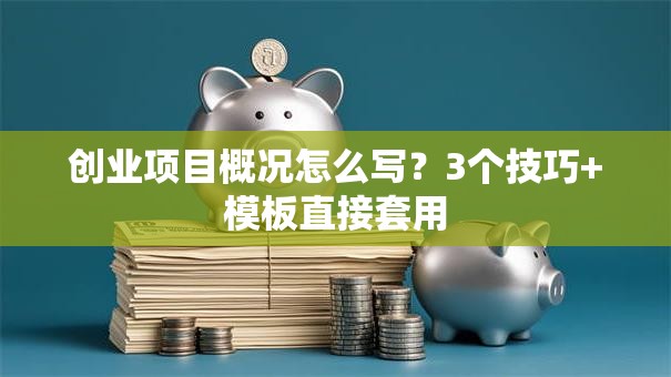 创业项目概况怎么写？3个技巧+模板直接套用
