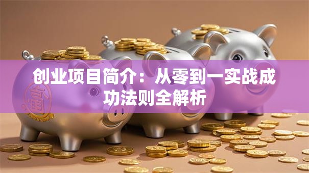 创业项目简介：从零到一实战成功法则全解析