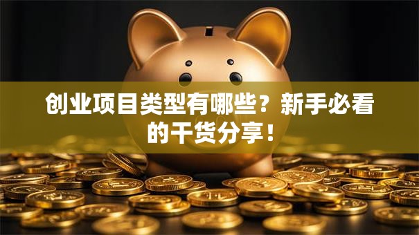 创业项目类型有哪些？新手必看的干货分享！