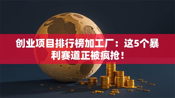 创业项目排行榜加工厂：这5个暴利赛道正被疯抢！