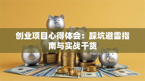 创业项目心得体会：踩坑避雷指南与实战干货
